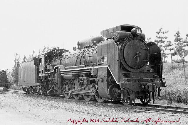 ナガシマスパーランドの蒸気機関車 1 ～古い車輌の写真：里山工房～